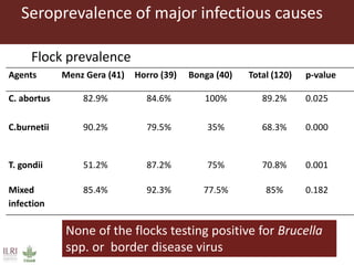 Risk factors for reproductive disorders and major infectious causes of abortion in sheep in the highlands of Ethiopia