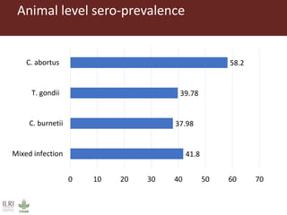 Risk factors for reproductive disorders and major infectious causes of abortion in sheep in the highlands of Ethiopia