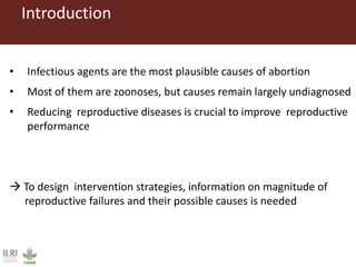 Risk factors for reproductive disorders and major infectious causes of abortion in sheep in the highlands of Ethiopia