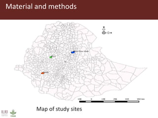 Risk factors for reproductive disorders and major infectious causes of abortion in sheep in the highlands of Ethiopia