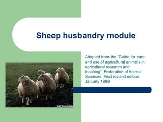 Sheep husbandry module
Adapted from the “Guide for care
and use of agricultural animals in
agricultural research and
teaching”, Federation of Animal
Sciences, First revised edition,
January 1999
 