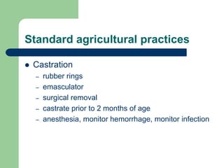 Standard agricultural practices
 Castration
– rubber rings
– emasculator
– surgical removal
– castrate prior to 2 months of age
– anesthesia, monitor hemorrhage, monitor infection
 