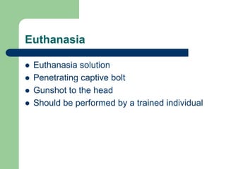 Euthanasia
 Euthanasia solution
 Penetrating captive bolt
 Gunshot to the head
 Should be performed by a trained individual
 