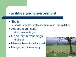 Facilities and environment
 Shelter
– shade, warmth, protection from wind, precipitation
 Adequate ventilation
– dust, ammonia gas
 Clean, dry surroundings
– drainage
 Manure handling/disposal
 Range conditions vary
 