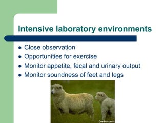 Intensive laboratory environments
 Close observation
 Opportunities for exercise
 Monitor appetite, fecal and urinary output
 Monitor soundness of feet and legs
 