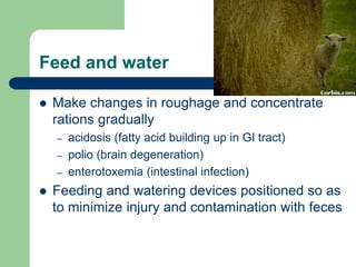 Feed and water
 Make changes in roughage and concentrate
rations gradually
– acidosis (fatty acid building up in GI tract)
– polio (brain degeneration)
– enterotoxemia (intestinal infection)
 Feeding and watering devices positioned so as
to minimize injury and contamination with feces
 