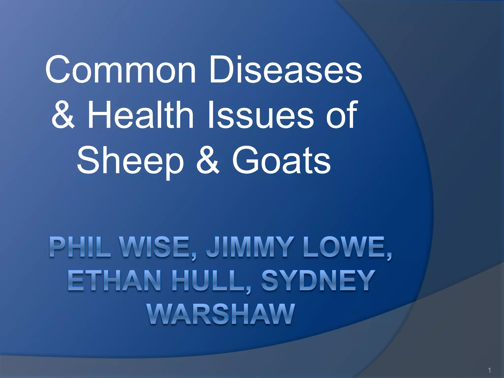 Sheep production powerpoint | PPTX