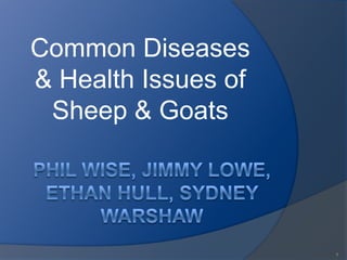 Common Diseases
& Health Issues of
 Sheep & Goats




                     1
 
