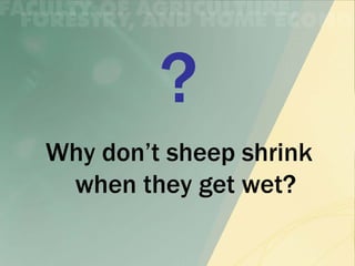 Why don’t sheep shrink
 when they get wet?
 