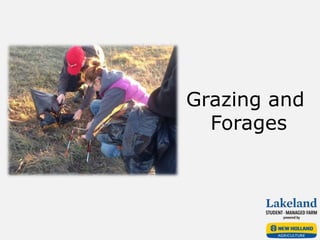 Grazing and
Forages
 