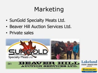 Marketing
• SunGold Specialty Meats Ltd.
• Beaver Hill Auction Services Ltd.
• Private sales
 