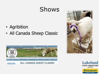 Shows
• Agribition
• All Canada Sheep Classic
 