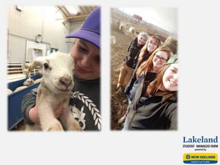 Sheep Team Final Presentation 2017