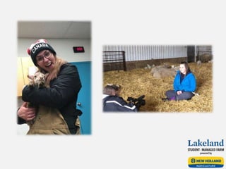 Sheep Team Final Presentation 2017