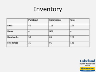 Inventory
Purebred Commercial Total
Ewes 46 113 159
Rams 4 N/A 4
Ram lambs 38 85 123
Ewe lambs 35 96 131
 