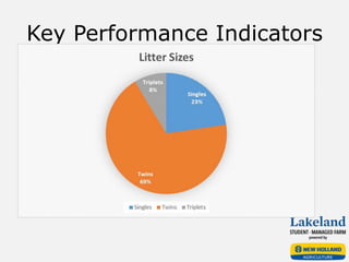 Key Performance Indicators
 