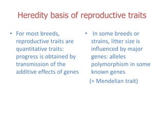 Genetic basis and improvement of reproductive traits