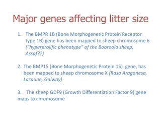 Genetic basis and improvement of reproductive traits