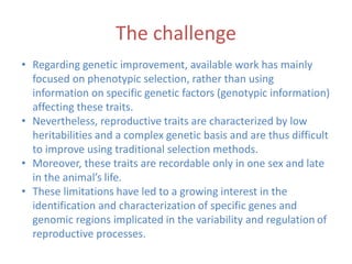 Genetic basis and improvement of reproductive traits