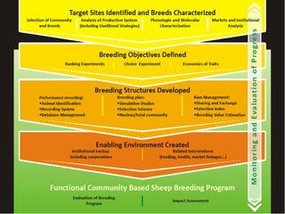 Genetic basis and improvement of reproductive traits