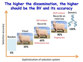 Genetic basis and improvement of reproductive traits