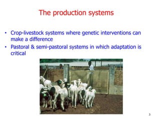 Genetic basis and improvement of reproductive traits