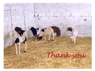 Genetic basis and improvement of reproductive traits