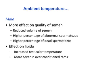 Seasonality of reproduction in sheep