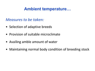 Seasonality of reproduction in sheep