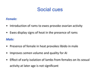 Seasonality of reproduction in sheep