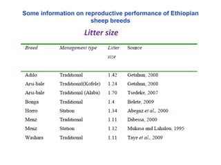 Seasonality of reproduction in sheep