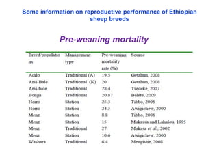 Seasonality of reproduction in sheep