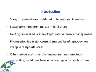 Seasonality of reproduction in sheep