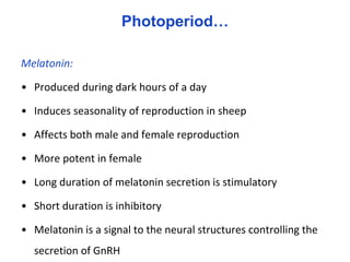 Seasonality of reproduction in sheep