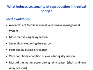 Seasonality of reproduction in sheep