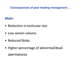 Seasonality of reproduction in sheep