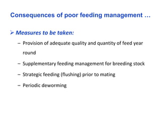 Seasonality of reproduction in sheep