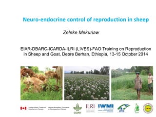 Neuro-endocrine control of reproduction in sheep 
Zeleke Mekuriaw 
EIAR-DBARC-ICARDA-ILRI (LIVES)-FAO Training on Reproduction 
in Sheep and Goat, Debre Berhan, Ethiopia, 13-15 October 2014 
 