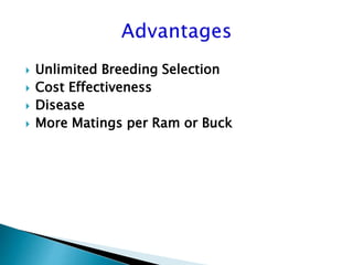 Advantage and restrictions of artificial insemination (AI) in sheep and goats