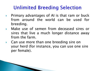 Advantage and restrictions of artificial insemination (AI) in sheep and goats
