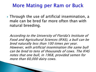 Advantage and restrictions of artificial insemination (AI) in sheep and goats