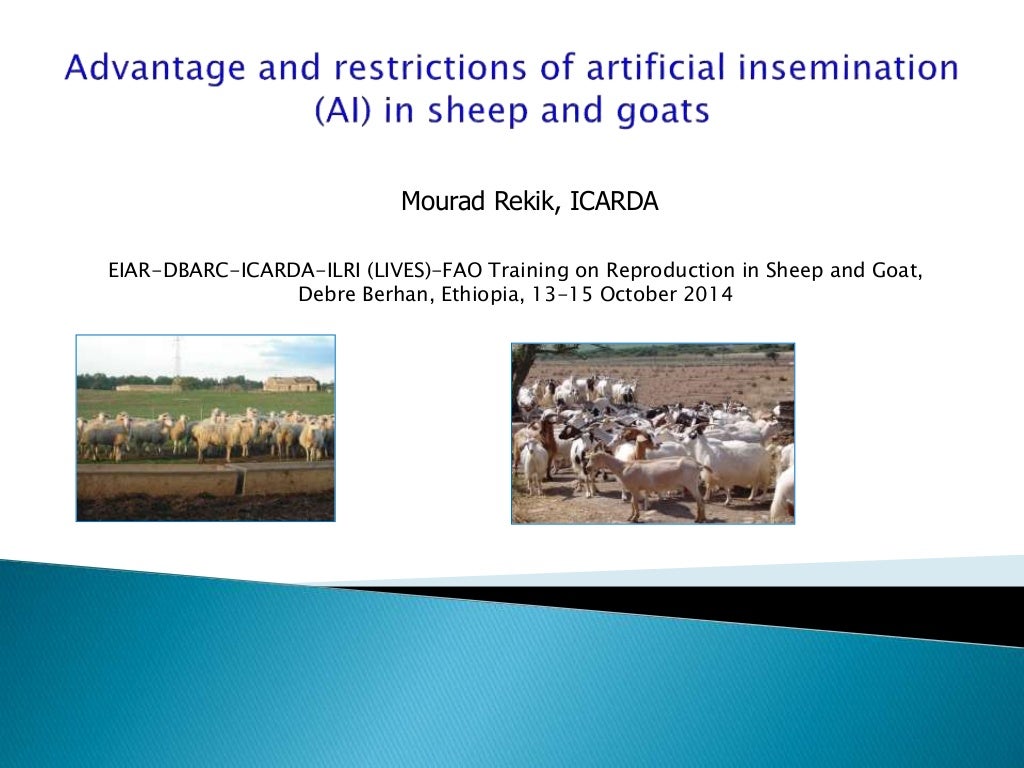 Advantage and restrictions of artificial insemination (AI) in sheep a…