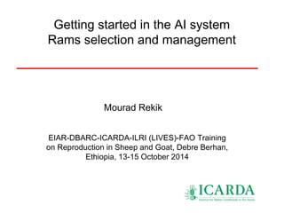 Getting started in the AI system 
Rams selection and management 
Mourad Rekik 
EIAR-DBARC-ICARDA-ILRI (LIVES)-FAO Training 
on Reproduction in Sheep and Goat, Debre Berhan, 
Ethiopia, 13-15 October 2014 
 