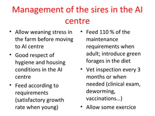 Getting started in the AI system: Rams selection and management