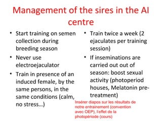 Getting started in the AI system: Rams selection and management