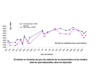 Getting started in the AI system: Rams selection and management
