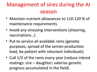 Getting started in the AI system: Rams selection and management