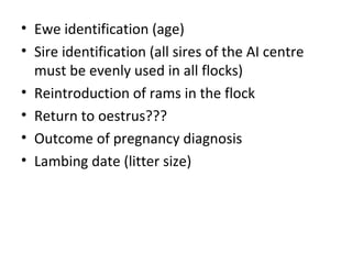 Getting started in the AI system: Rams selection and management