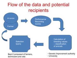Getting started in the AI system: Rams selection and management