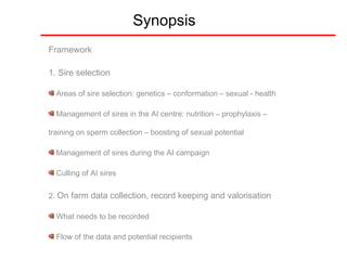 Getting started in the AI system: Rams selection and management